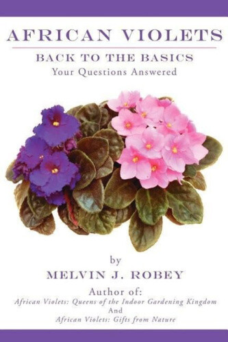 Thumbnail - African Violets Back To The Basics: Your Questions Answered By Robey,