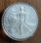 2004 AMERICAN SILVER EAGLE BULLION, 1 oz  .999 SILVER in hard plastic capsule