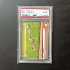 2019 Topps Now Minnesota Twins Rally Squirrel #724 Rare SP PSA 8 Low Pop