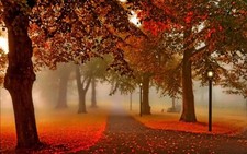 Landscape fall park leaves trees lantern Custom Gaming Mat Desk
