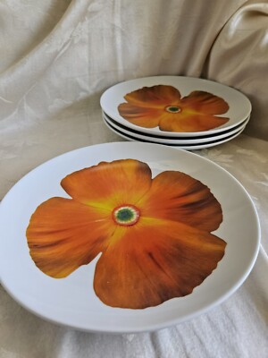 ISAAC MIZRAHI MADE FOR TARGET - ORANGE FLORAL PLATES - 9