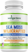 100 Pure Sea Moss, Organic Superfood - Irish Seamoss, Bladderwrack, Burdock ...