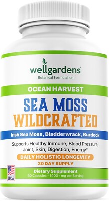 100% Pure Sea Moss, Organic Superfood - Irish Seamoss, Bladderwrack, Burdock ...