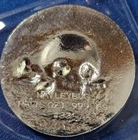 A Haleybug Mint 1/2 oz .999 Skull And Rose Silver Art Bar Piece