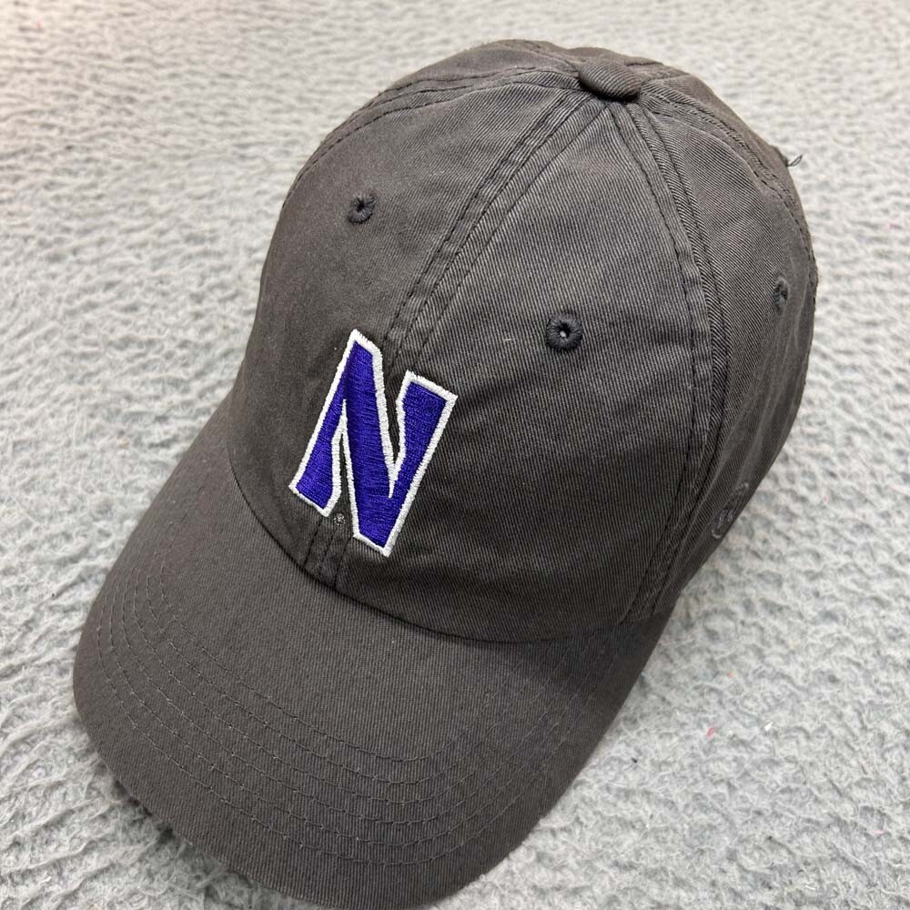 Northwestern Wildcats Adjustable Strapback Gray Dad Hat for Men One Size