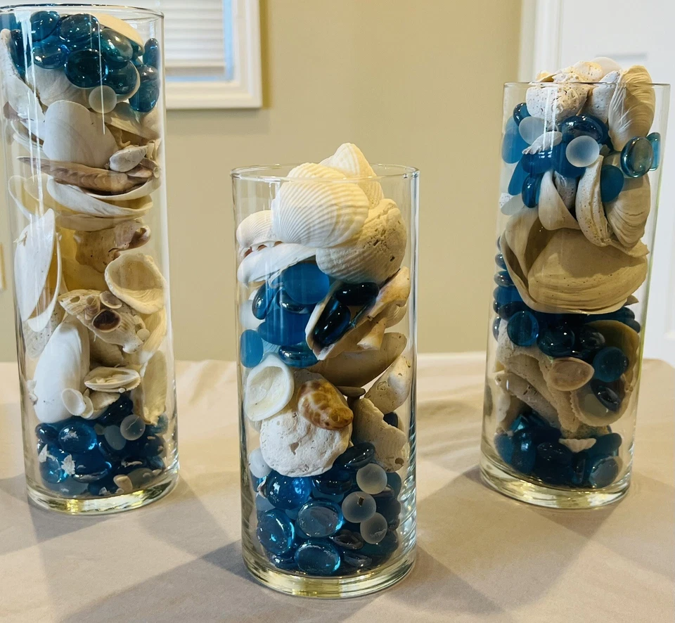 Florida Seashells Juego de 3 jarrones de vidrio llenos de conchas de la Costa del Golfo Decoración del hogar Foto 2 de 4