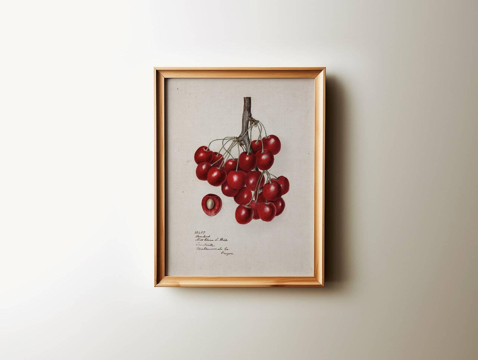Vintage Cherries Botanical Wall Art Kitchen Fruit Art Trendy Wall Art