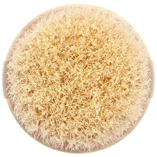 Dry Body Brush, 1 Brush