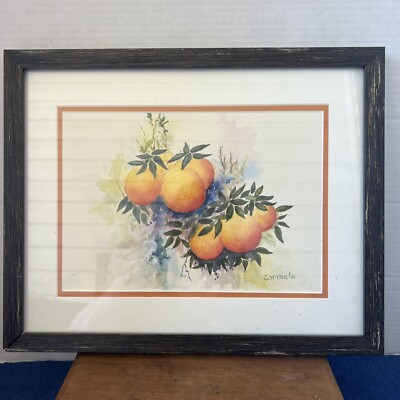 Carmela Designs Of CA Still Life Bunch Of Oranges Signed Print 15x12 Mat&framed