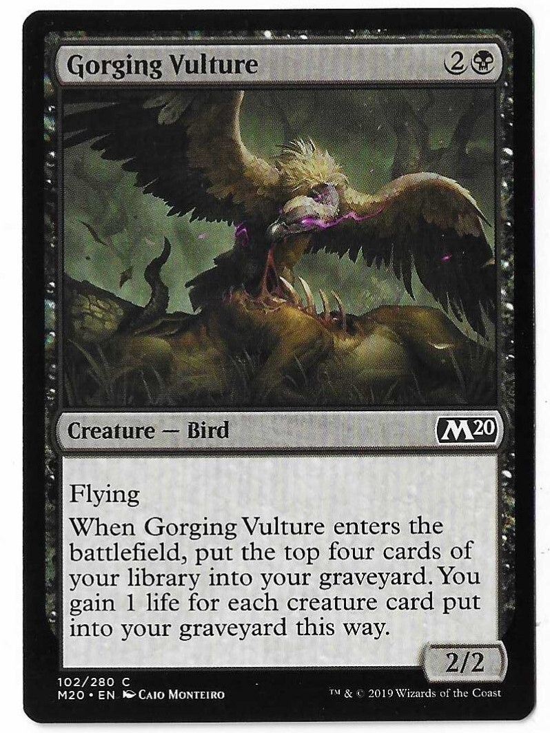 MtG 2020 Core Set Common Gorging Vulture #102