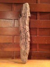 Beautiful 13" DRIFTWOOD Piece Art Terrarium Taxidermy Aquarium Beach Wood DECOR