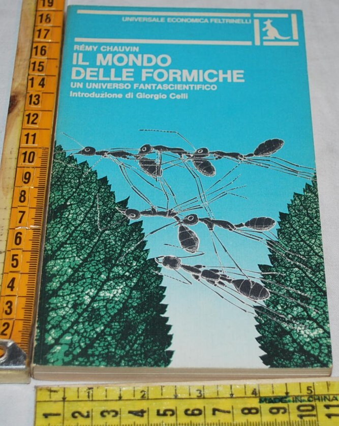 Foto 1 di 1
