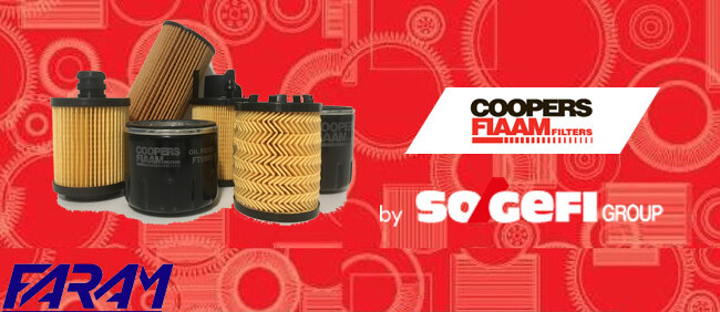 Filtro olio FT5901 RENAULT MEGANE II   1.9 dCi 120CV