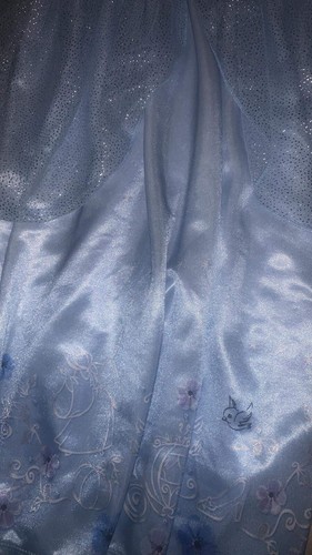 Cinderella Princess Girl's Fancy Costume Silky Tulle Nightgown Used Size S - Picture 3 of 5