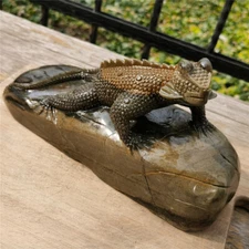 13.45 LB A Lizard full of spirituality is carved on a complete "Zangqing rock"