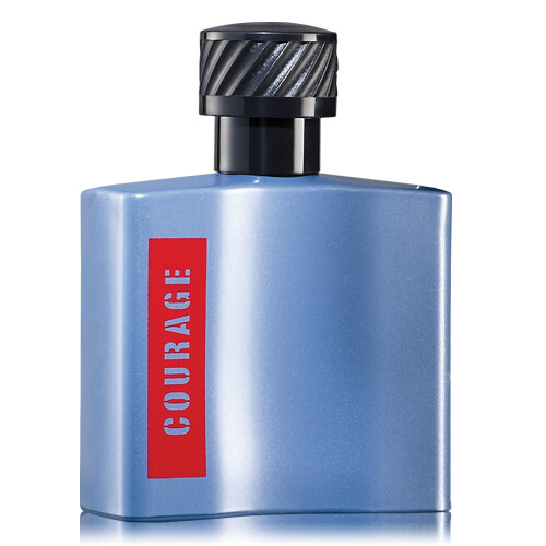 COURAGE LIMITED EDITION COLONIA para caballero de Avon 100 ml CAJA SELLADA  7909189101030 | eBay