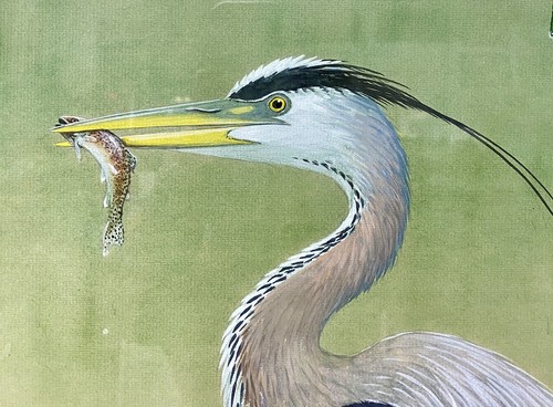 Orig. Bird Art Painting GREAT BLUE HERON w/Fish by Frank Beebe, Signed, Framed - Picture 6 of 12