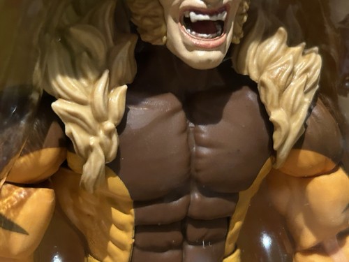 IN STOCK! Wolverine 50th Marvel Legends Logan vs Sabretooth 6" AF 2Pack HASBRO - Picture 9 of 24
