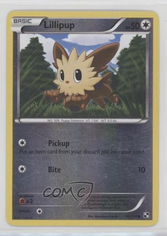 Lillipup Reverse Foil Pokemon Black & White Base Set #80