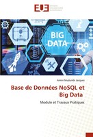 Base De DonnéEs Nosql Et Big Data Module Et Travaux Pratiques Jacques Buch 2024