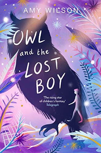 Owl and the Lost Boy,Amy Wilson