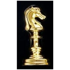 gross chess pieces Only for 587412,1pc,second-hand products