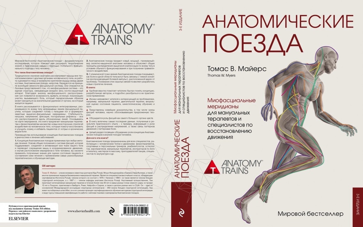 Анатомические поезда" - система фасции, которая поддерживает, соединяет и активи