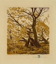 Cottonwoods By Gustave Baumann - Quality Matte Print - FRAME ME 13x19