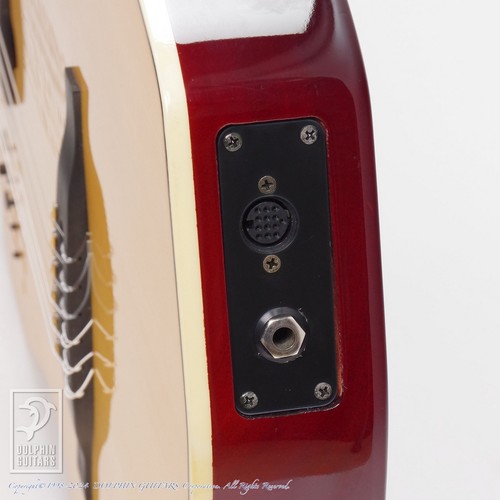 Godin MULTIAC NYLON - Picture 10 of 11