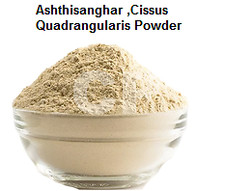 Ashthisanghar Powder Cissus Quadrangularis Powder 100gm 3.5 Oz :