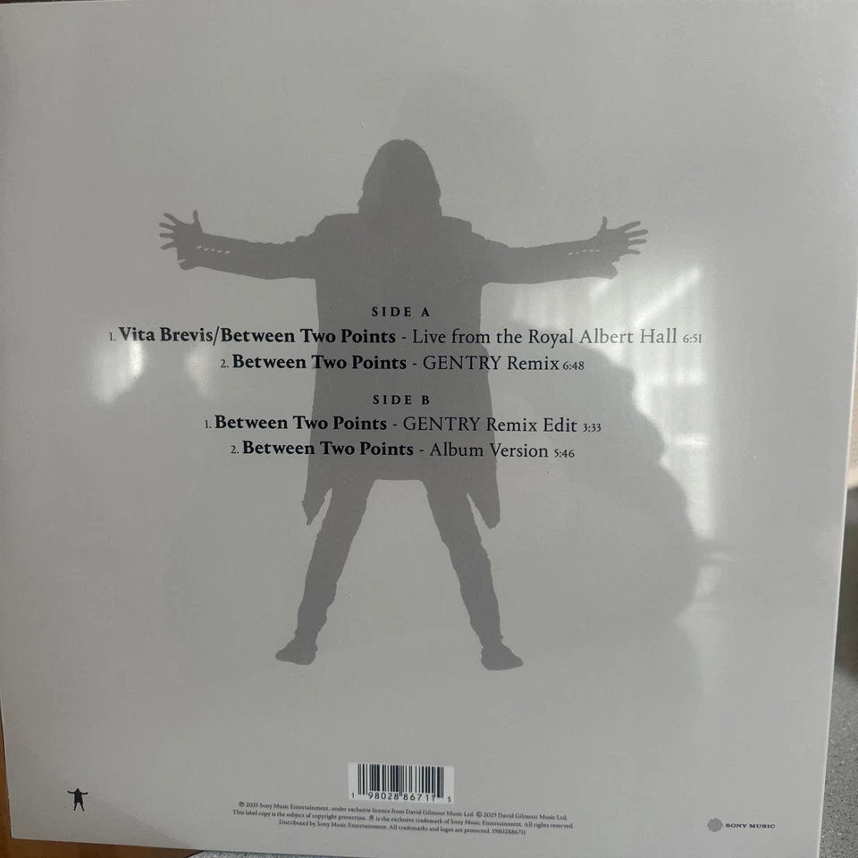 2025-RSD-DAVID GILMOUR-“BETWEEN TWO POINTS”-VINYL LP-NEW/SEALED - Image 3 of 3