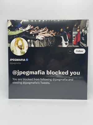【 未開封】JPEGMAFIA & Danny Brown（LP） JPEGMAFIA & Danny Brown - Scaring The Hoes - LP – The 'In