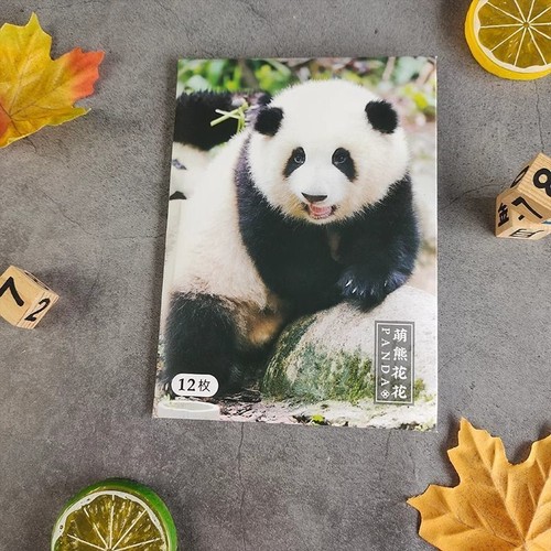 Cartoon Giant Panda Postcard Set of 12 Chengdu Tourism Souvenir Gifts - Picture 3 of 12