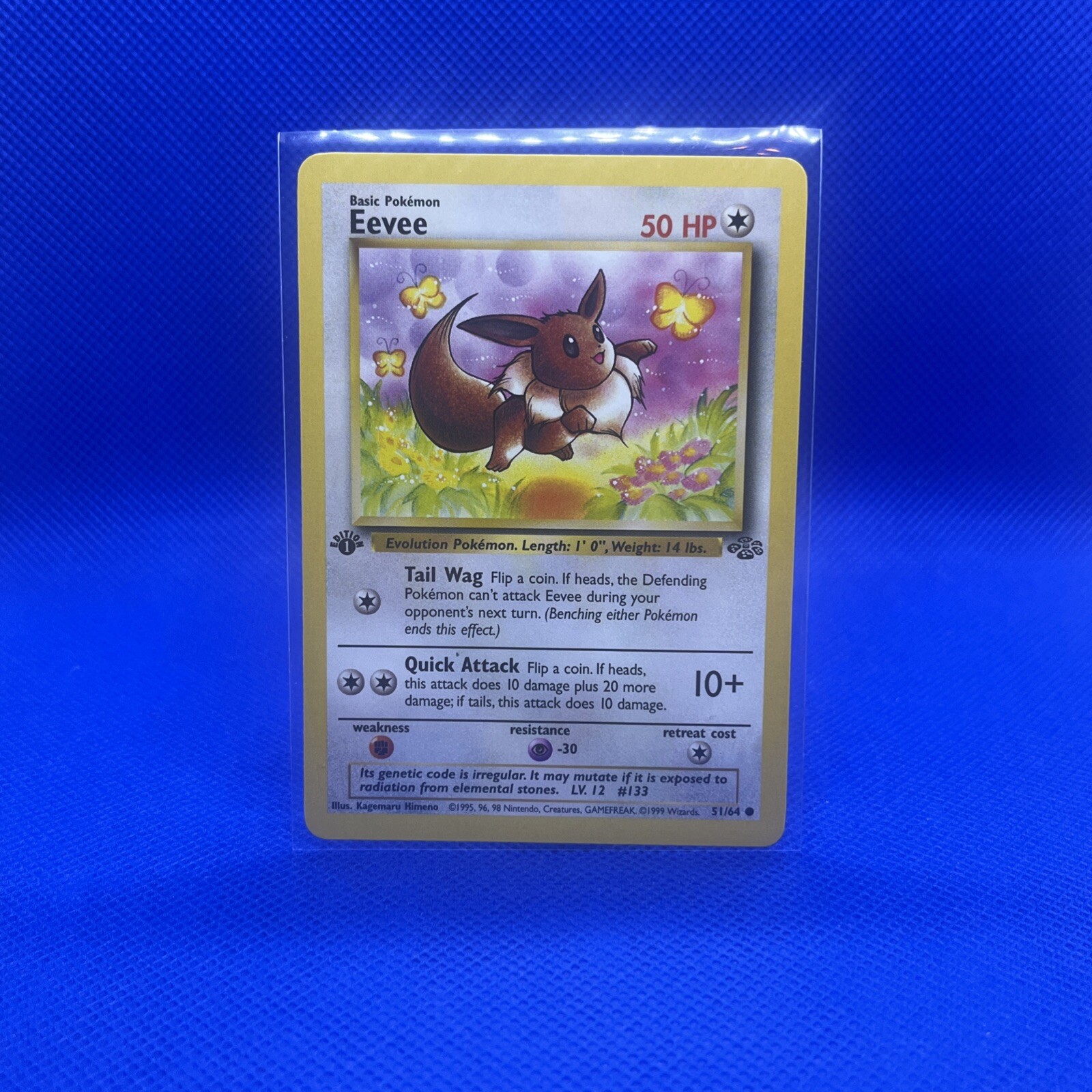 Eevee 51/64 Jungle First Edition NM