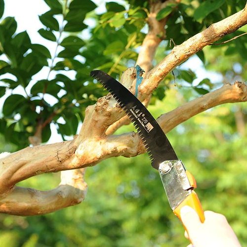 Folding Hand Saw Camping Saw Pruning Saws with Rugged 10.6 Inch Folding Saws Ra - 第 2/6 張圖片