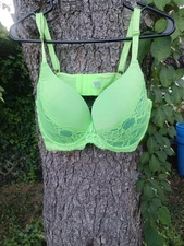 Mamia Lingerie Blue and green  Full Coverage  Padded Bra 42DD