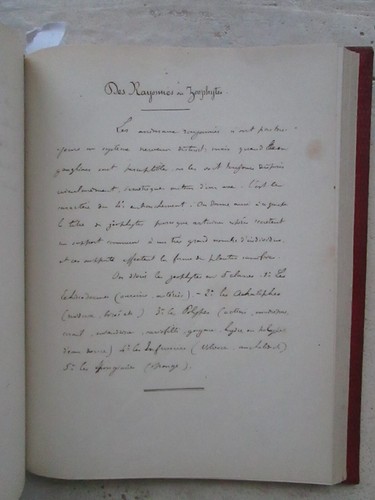 MS ZOOLOGIE, BOTANIQUE, vers 1850. - Picture 18 of 24