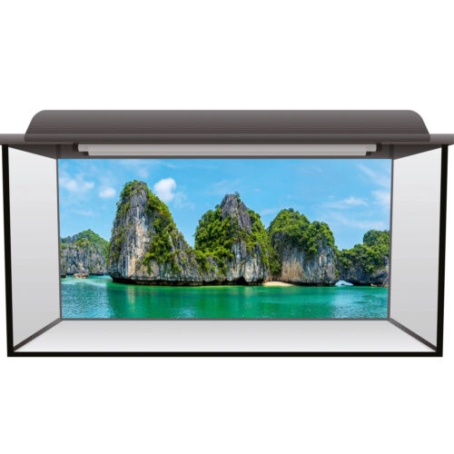 Fish Tank Background 90x45cm Static Cling - Vietnam Mountain Fluval Juwel #0005 - Afbeelding 1 van 2