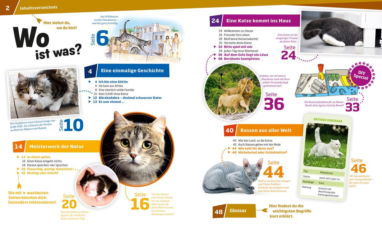 Thumbnail - Jutta Aurahs Was Ist Was Band 59 Katzen. Flinke Jäger Auf Samtpfoten
