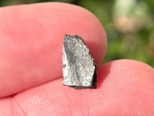 Woodbine Formation Fossil Turtle Shell Texas Cretaceous Age Reptile Bones - Picture 3 of 6