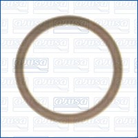 Dichtung, Unterdruckpumpe Ajusa 21026100