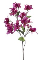 Artplants KüNstlicher Zweig Bougainvillea Mowler Mit BlüTen, Violett, 70Cm