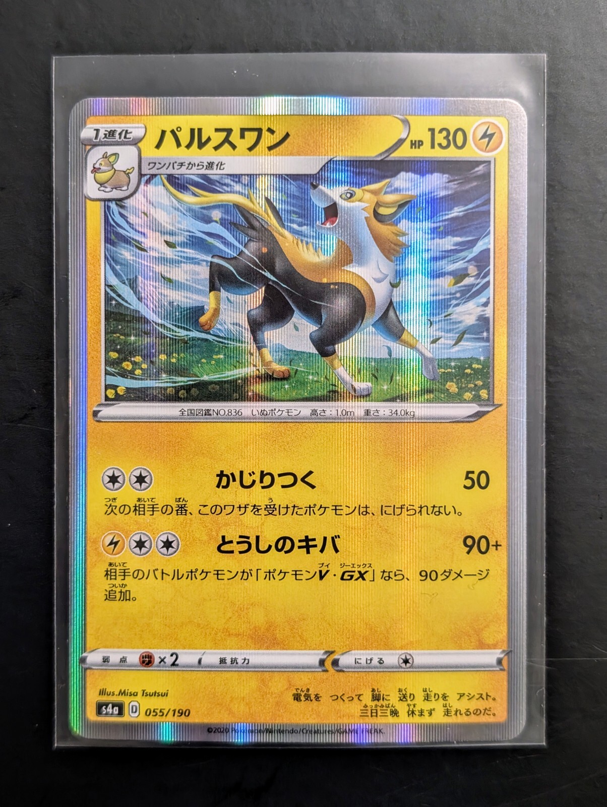 Boltund R Holo 55/190 s4a Shiny Star V Japanese Pokemon Card US Seller