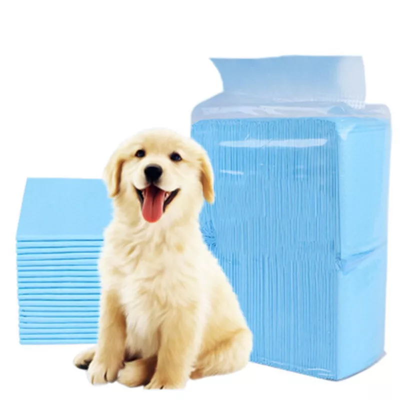Absorbent pads for dogs sales