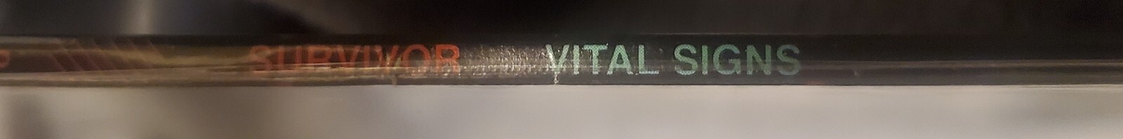 Afbeelding 8 van 10