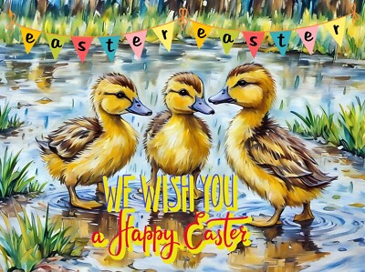 Enten Osterkarte Grußtag Eier Frühling A5 Karten Wish You Happy Duck Entlein