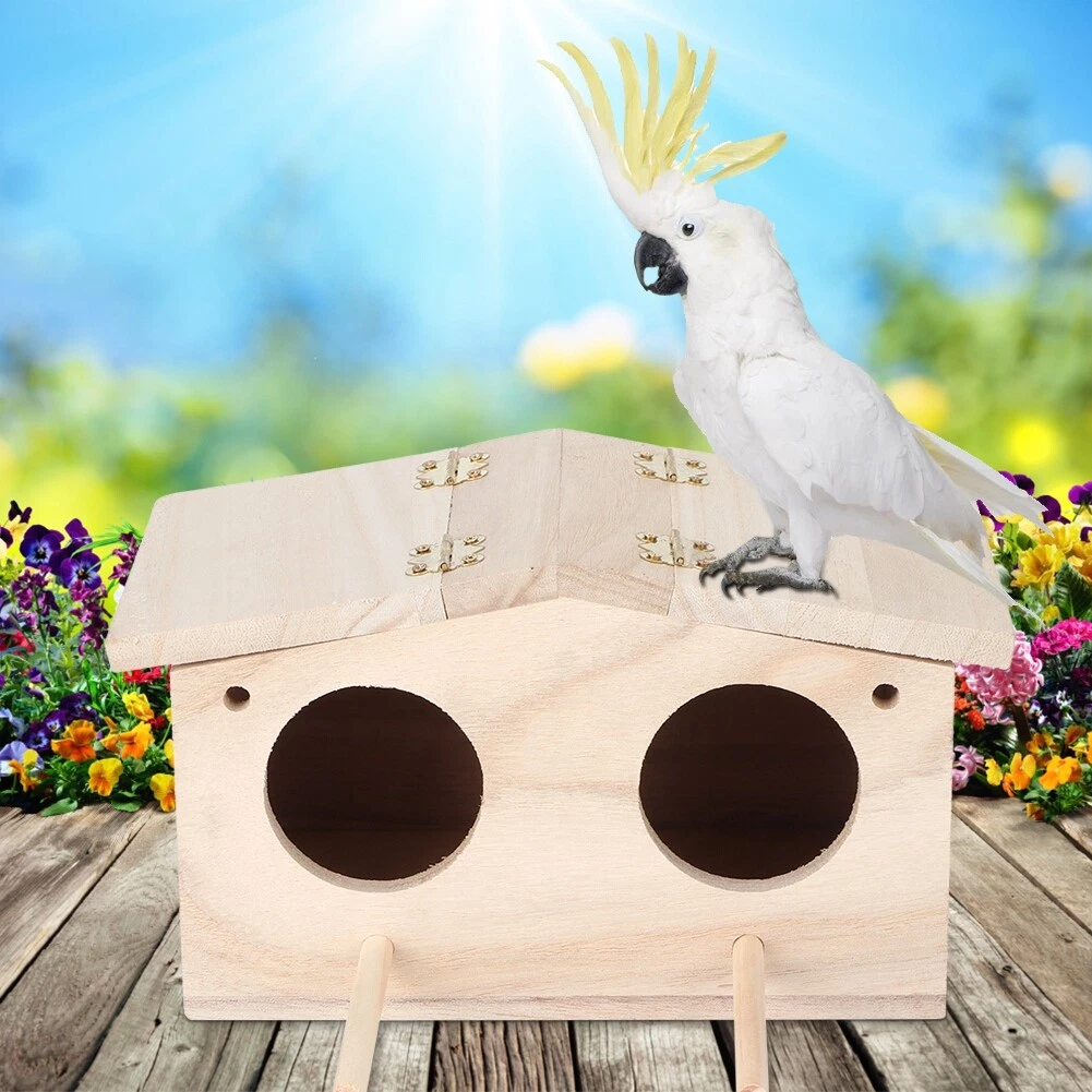 Cockatiel Bird Breeding Box