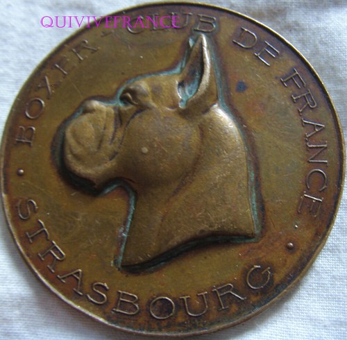 Med9742-Medal Boxer Club De France-Strasbourg | Ebay