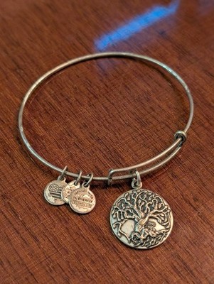 Alex & Ani Charm Bracelet Tree of Life Silver Tone Jewelry 2015 Charm Round