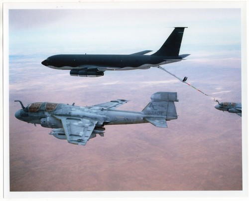 1991 Desert Storm EA-6B Prowler of VAQ-130 From CV-67 Meet KC-135E 8x10 Photo